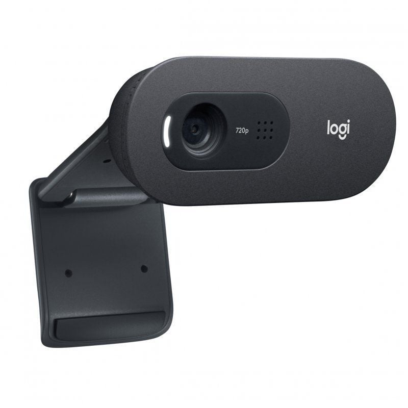 Webcam Logitech C505E / 1280 X 720 HD