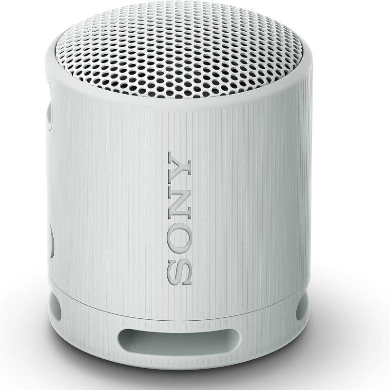 Altifalante Portátil Sony XB100 Bluetooth / 2.0 / Cinzento Claro