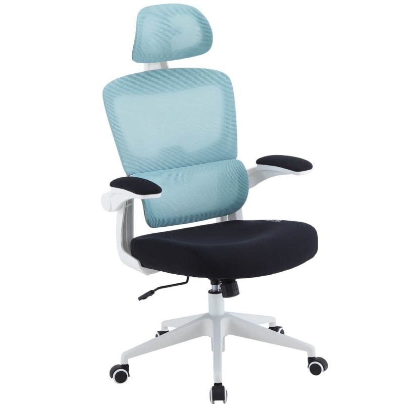 Cadeira para Jogos Woxter Ergo / Azul