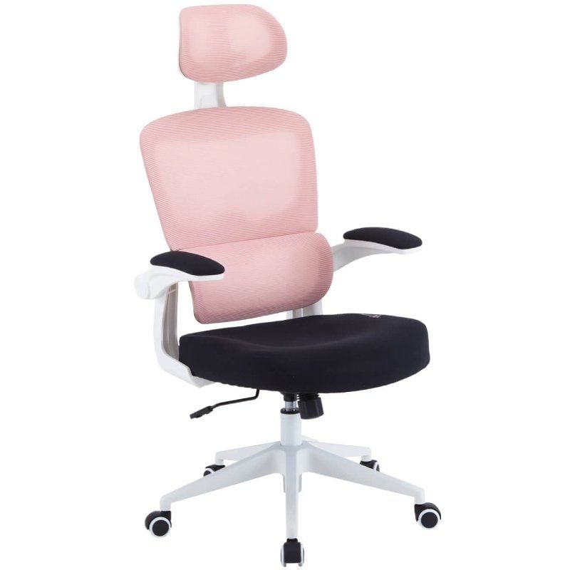 Cadeira para Jogos Woxter Ergo / Rosa